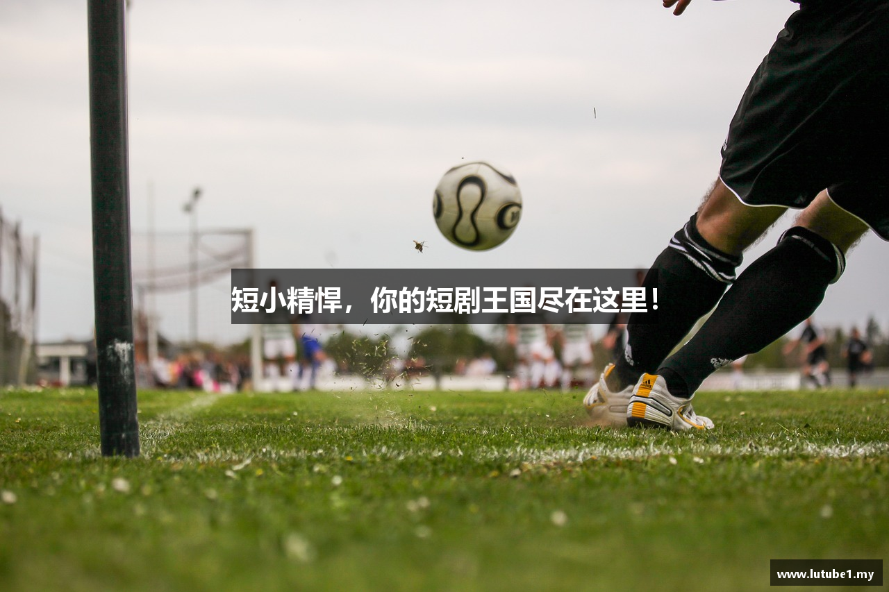 lutube永久在线观看